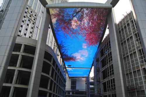 1571106528316603.jpg 1571106528316603.jpg